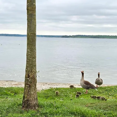 Semesterbostad Am Plauer *